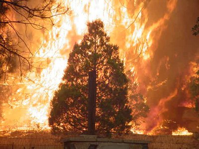 The Cedar and Poomacha Fires
